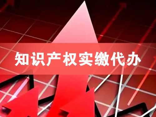 仁寿知识产权实缴资本代办